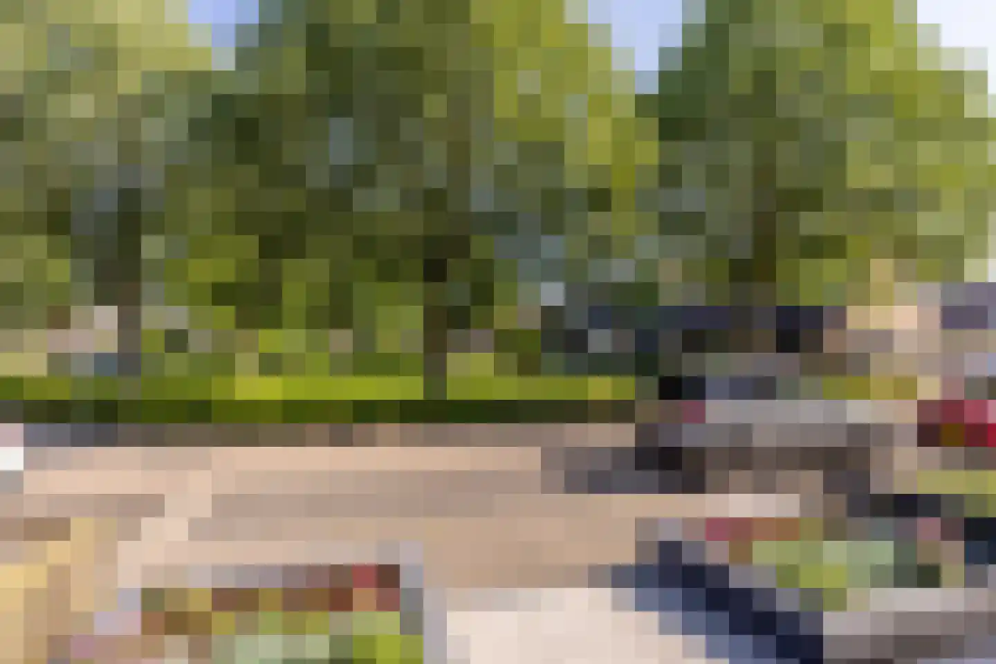 Paardebloemstraat 21 Klaaswaal thumbnail 7