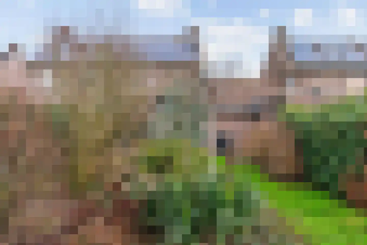 Paardebloemstraat 24 Reuver thumbnail 34