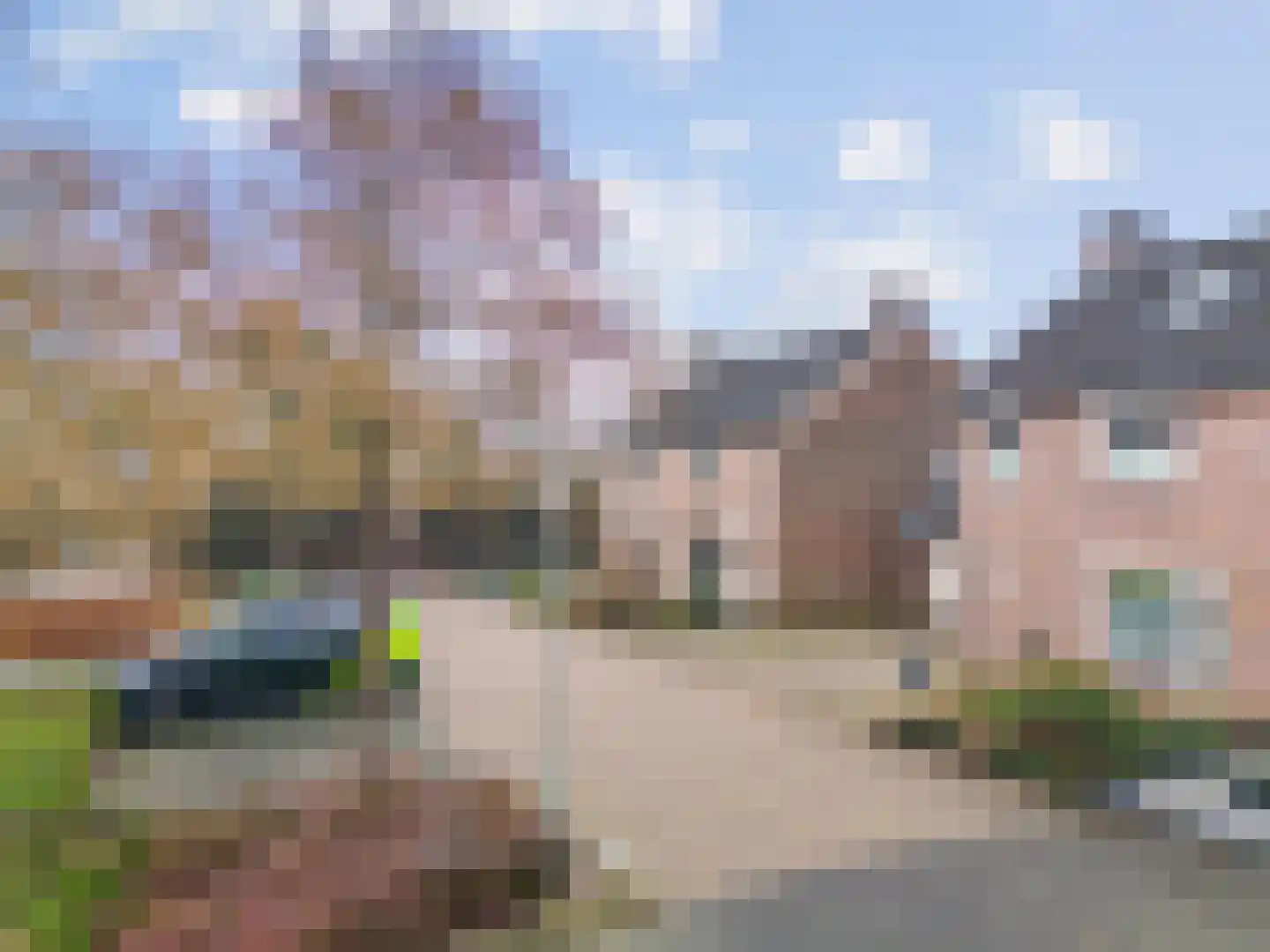 Paardebloemstraat 24 Reuver thumbnail 6