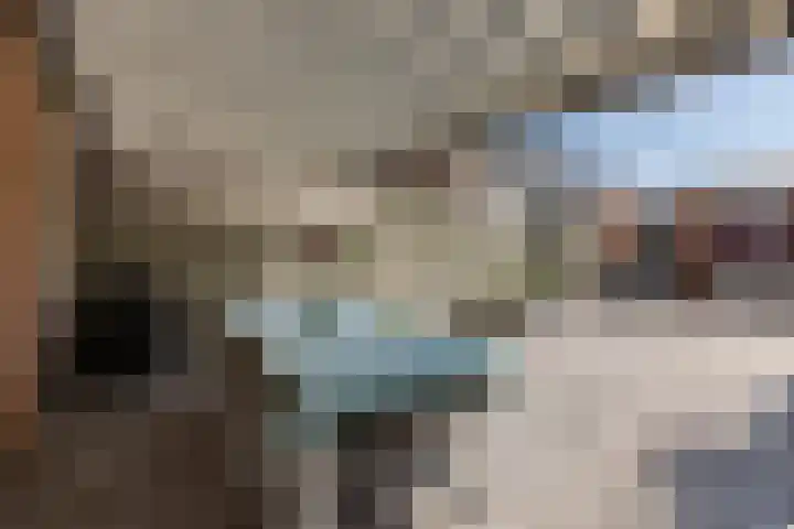 Paardebloemstraat 25 Klaaswaal thumbnail 16