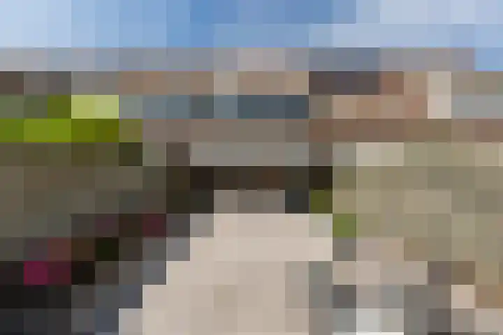Paardebloemstraat 25 Klaaswaal thumbnail 17