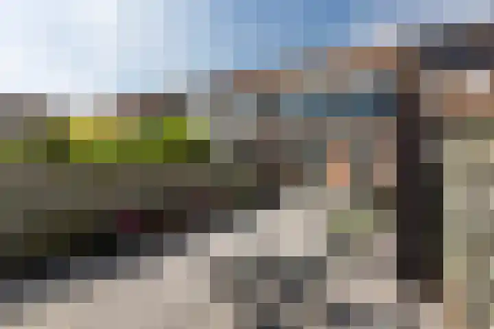 Paardebloemstraat 25 Klaaswaal thumbnail 19