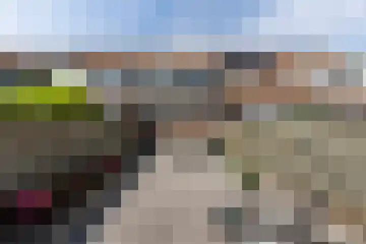 Paardebloemstraat 25 Klaaswaal thumbnail 20