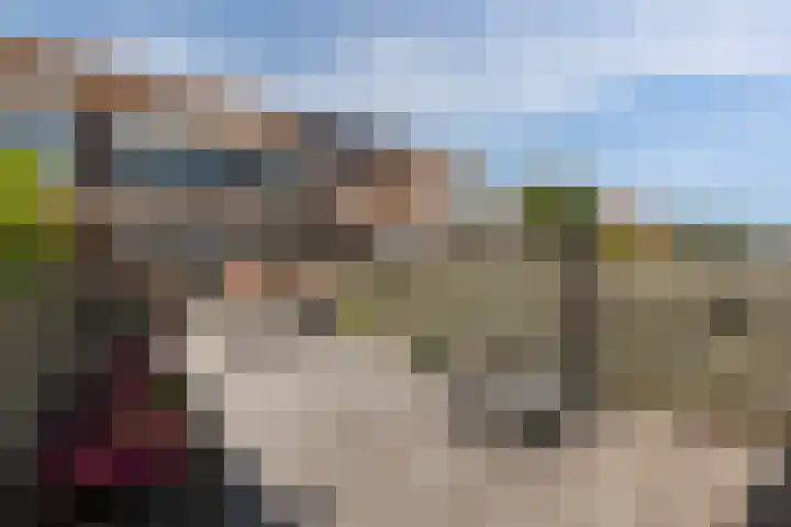 Paardebloemstraat 25 Klaaswaal thumbnail 21