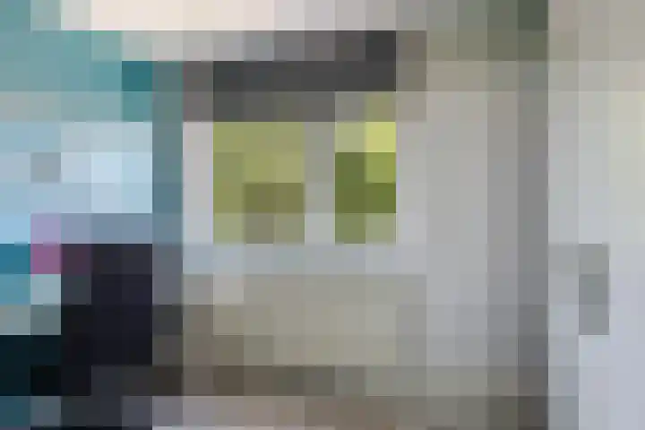 Paardebloemstraat 25 Klaaswaal thumbnail 28