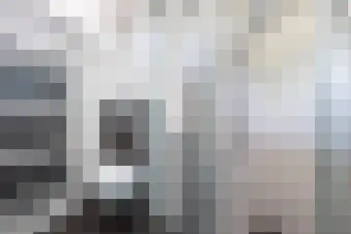 Paardebloemstraat 25 Klaaswaal thumbnail 31