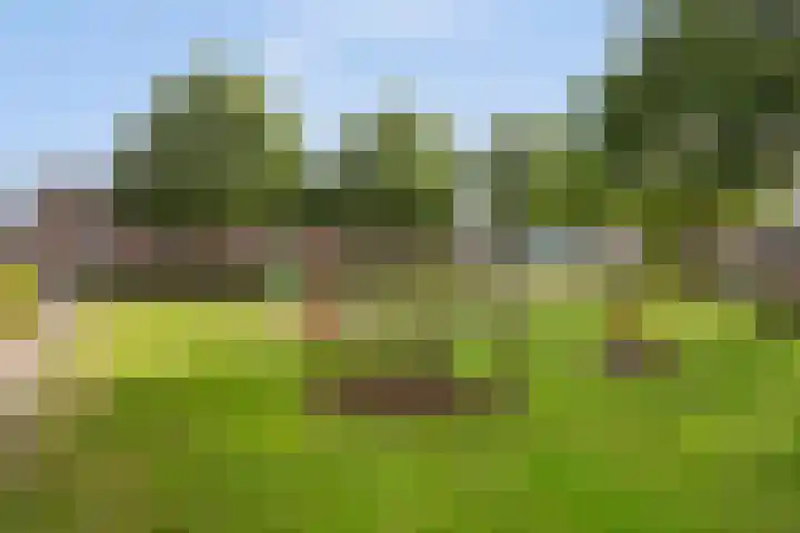 Paardebloemstraat 25 Klaaswaal thumbnail 37