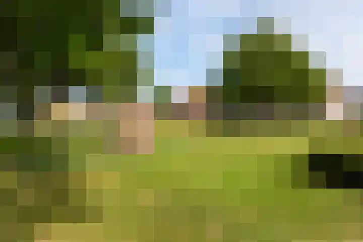 Paardebloemstraat 25 Klaaswaal thumbnail 38