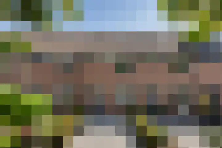 Paardebloemstraat 25 Klaaswaal thumbnail 39