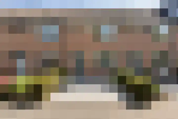 Paardebloemstraat 25 Klaaswaal thumbnail 4