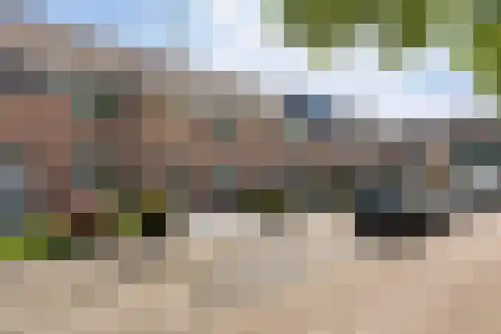 Paardebloemstraat 25 Klaaswaal thumbnail 40