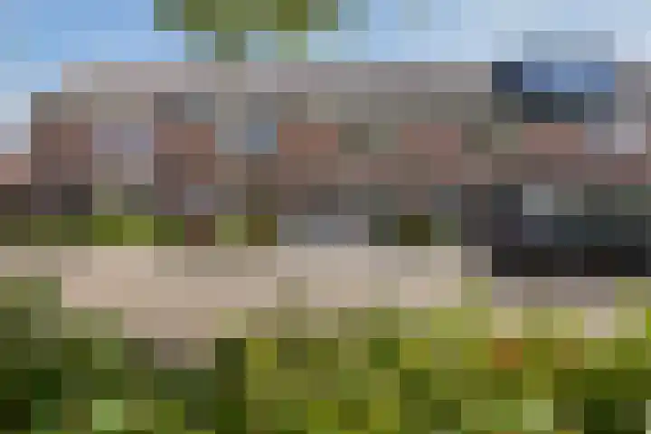 Paardebloemstraat 25 Klaaswaal thumbnail 47
