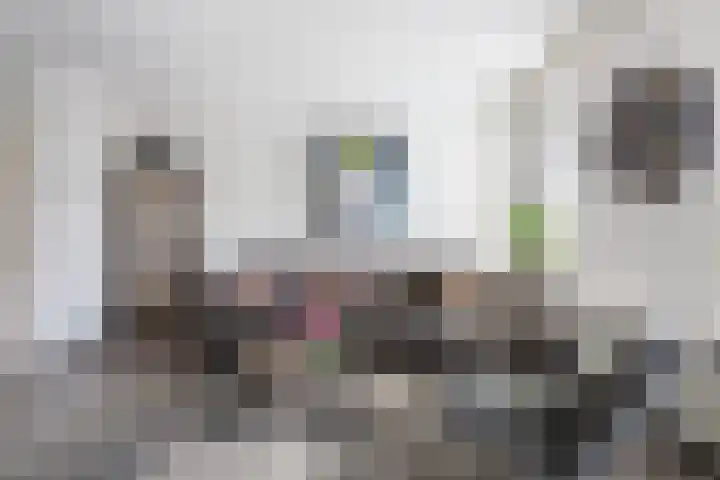 Paardebloemstraat 25 Klaaswaal thumbnail 9
