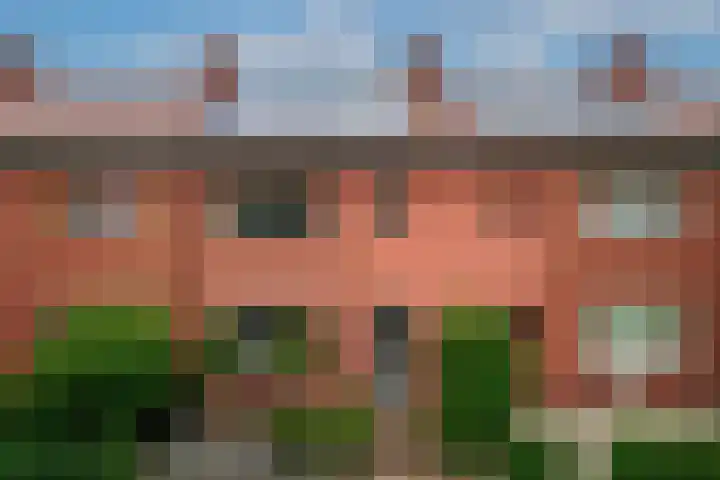 Paardebloemstraat 32 Arnhem thumbnail 52