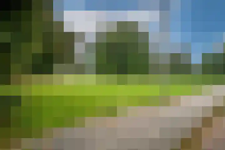 Paardebloemstraat 32 Arnhem thumbnail 53