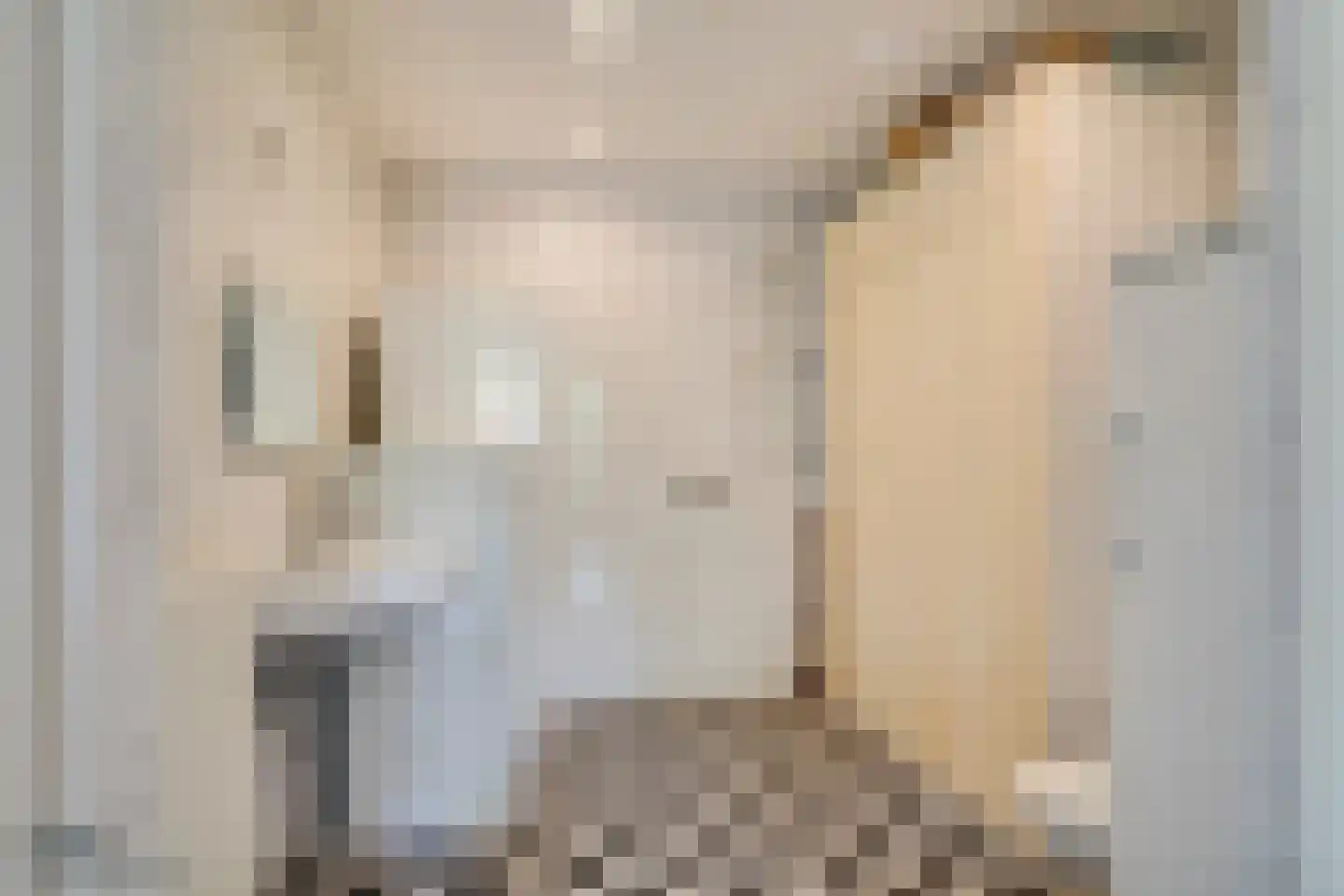 Paardebloemstraat 4 Reuver thumbnail 25