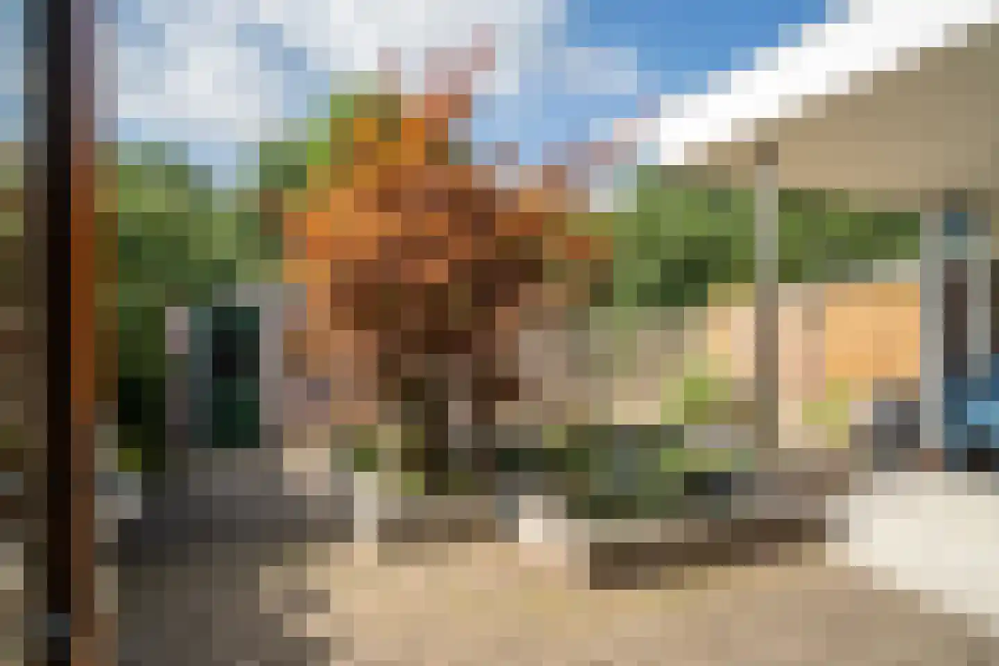 Paardebloemstraat 4 Reuver thumbnail 27