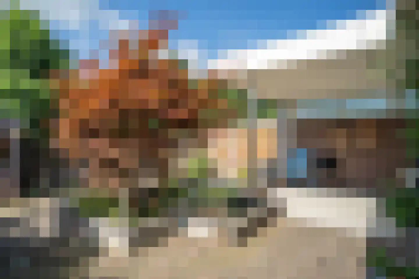 Paardebloemstraat 4 Reuver thumbnail 28