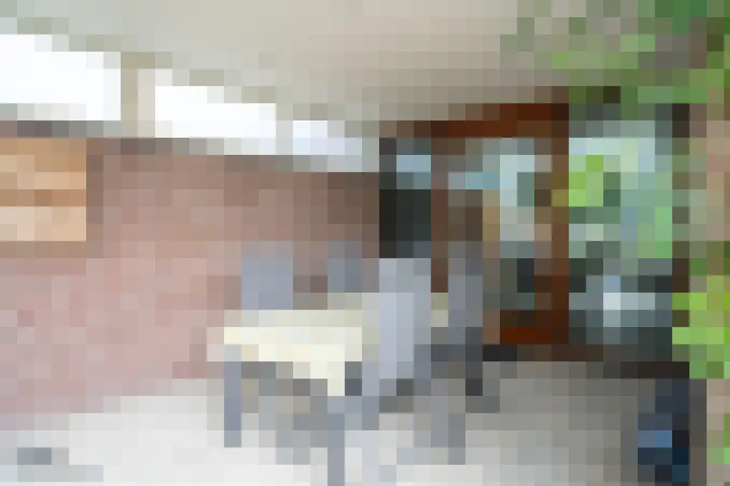 Paardebloemstraat 4 Reuver thumbnail 33
