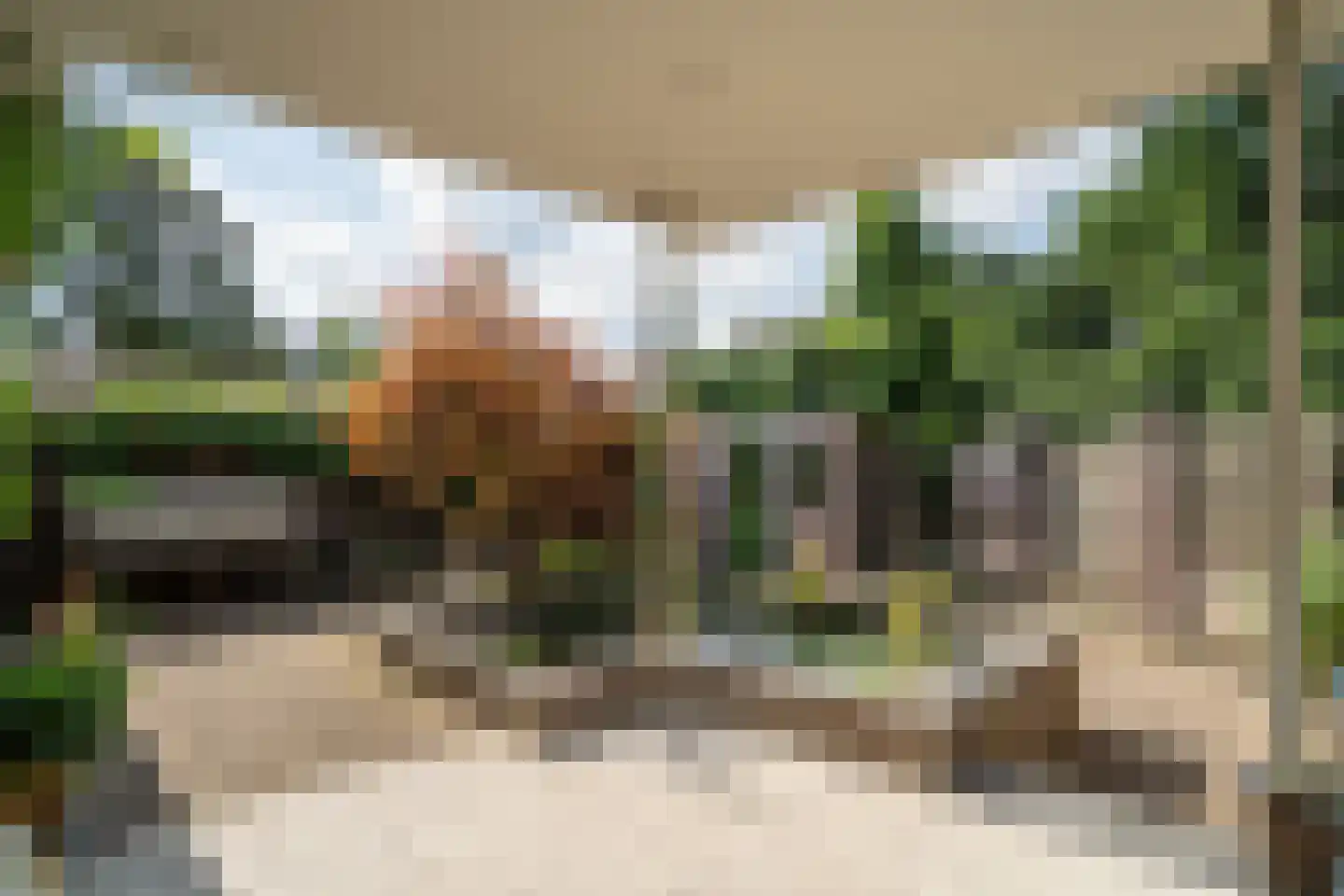 Paardebloemstraat 4 Reuver thumbnail 34