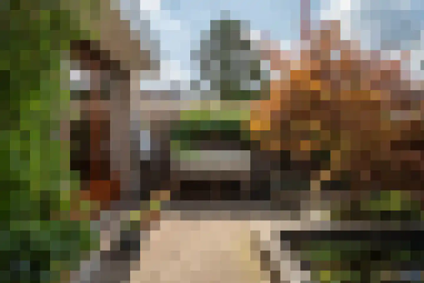 Paardebloemstraat 4 Reuver thumbnail 35