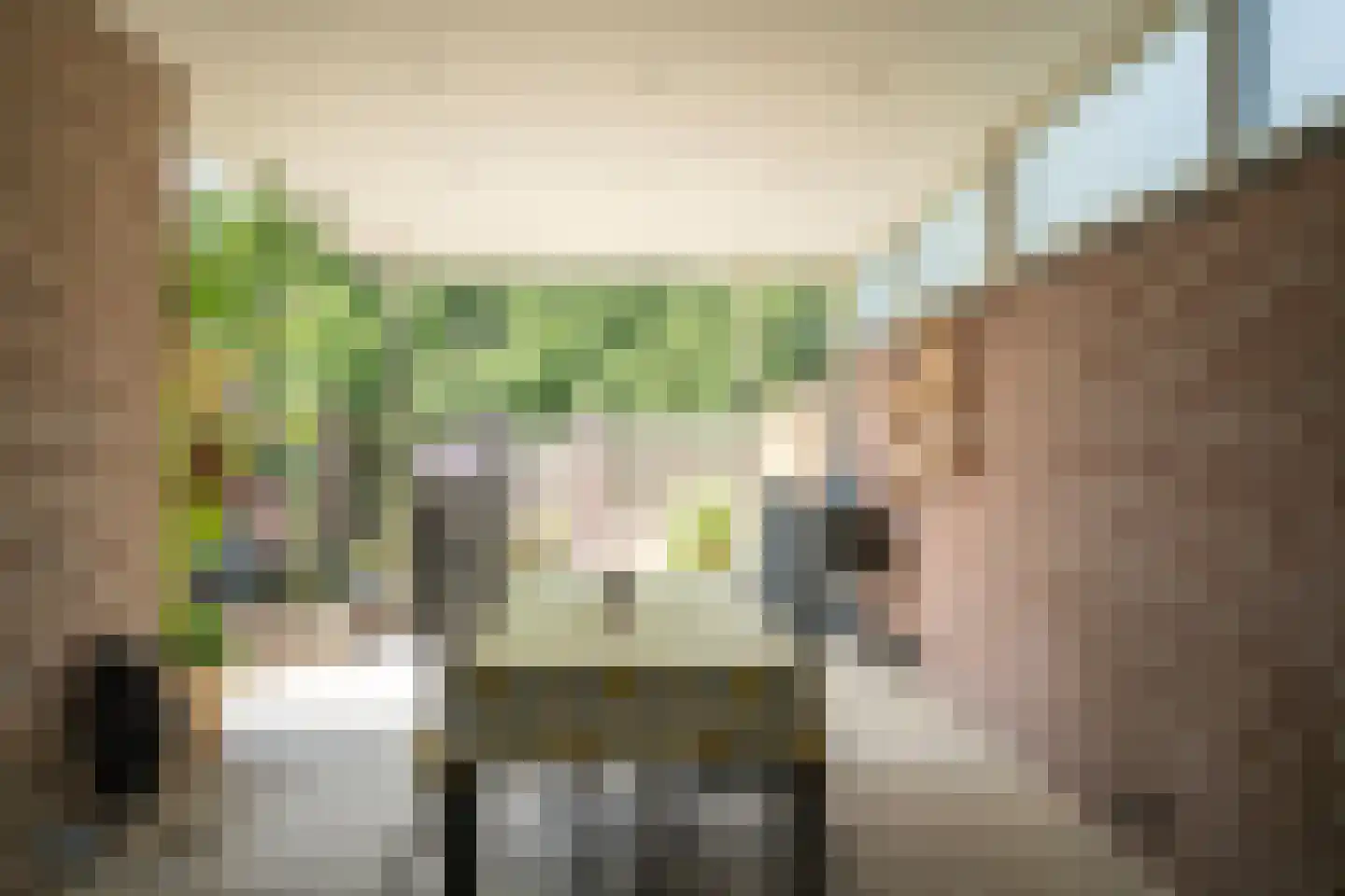 Paardebloemstraat 4 Reuver thumbnail 38