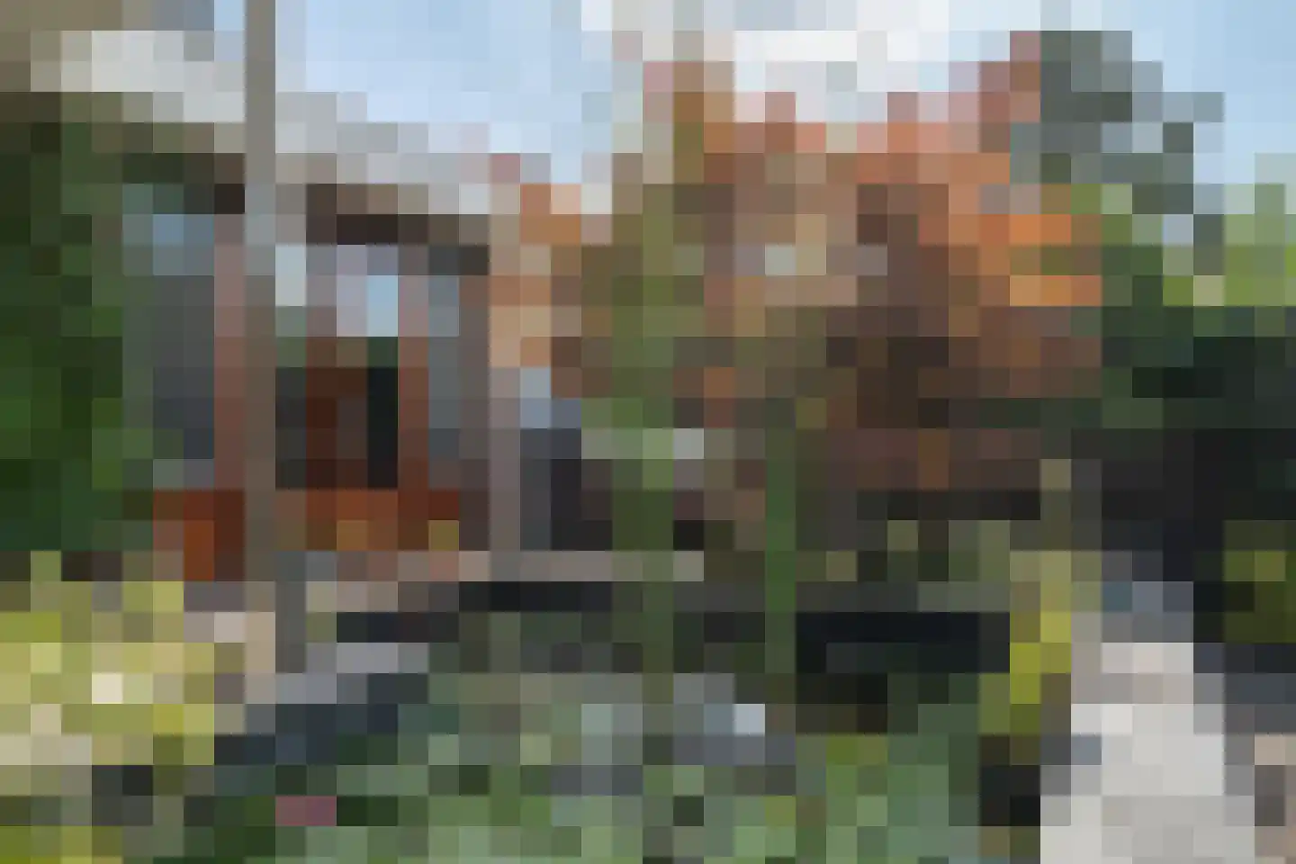 Paardebloemstraat 4 Reuver thumbnail 4