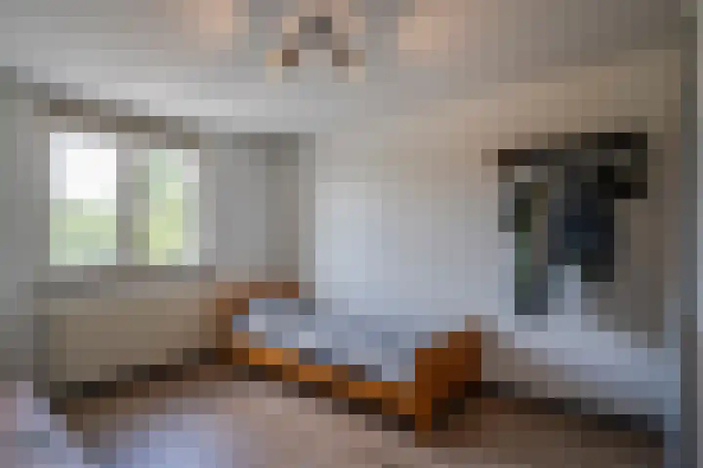 Paardebloemstraat 4 Reuver thumbnail 45