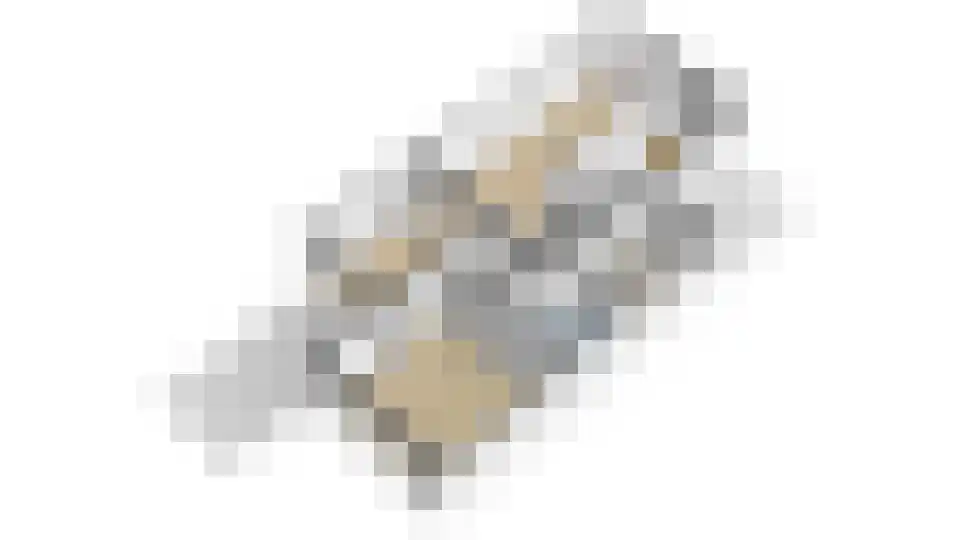 Paardebloemstraat 4 Reuver thumbnail 51