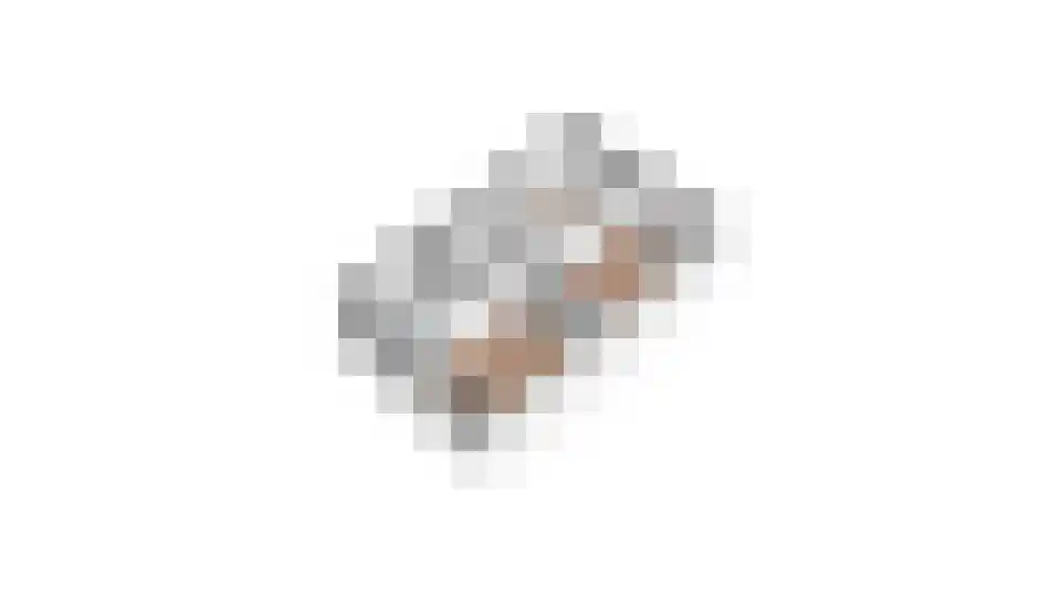 Paardebloemstraat 4 Reuver thumbnail 58