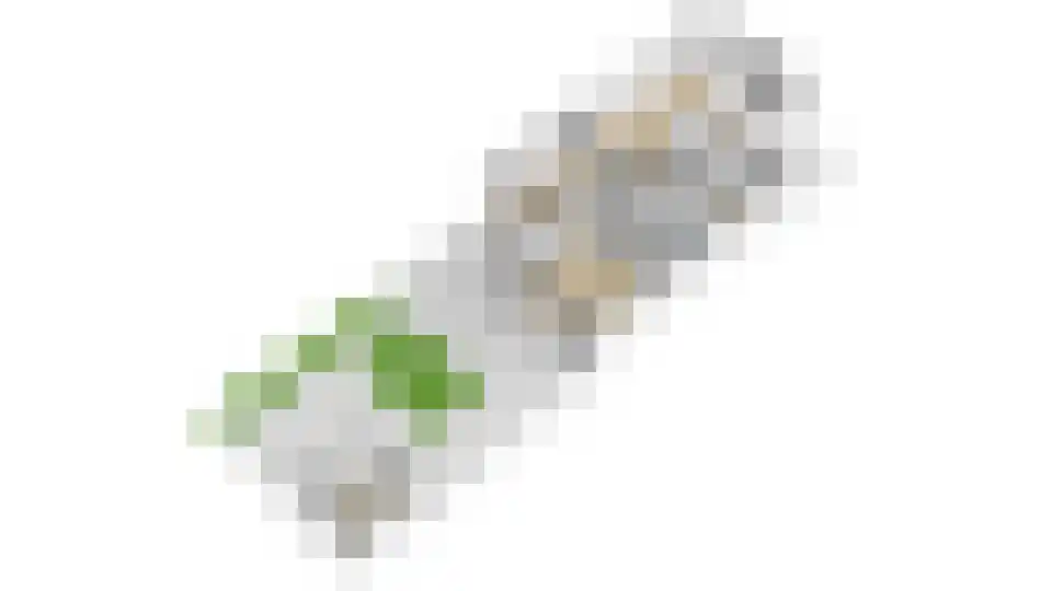 Paardebloemstraat 4 Reuver thumbnail 60