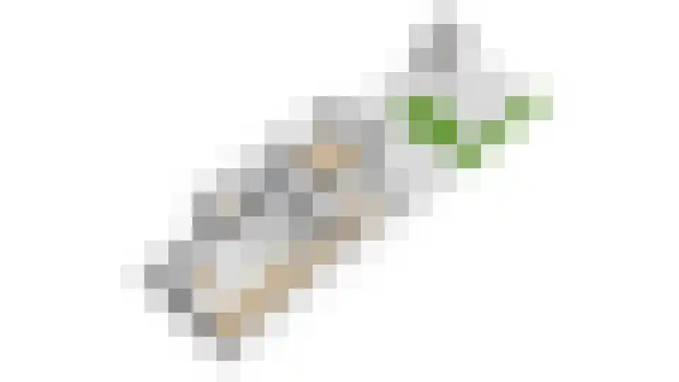 Paardebloemstraat 4 Reuver thumbnail 61