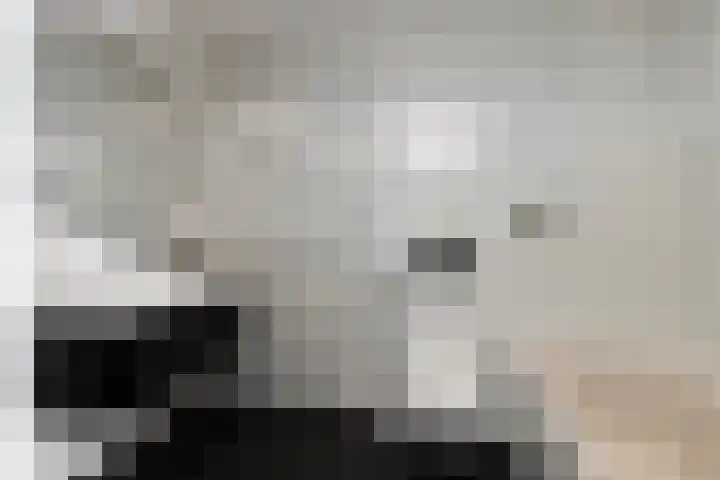 Paardebloemstraat 6 Heinkenszand thumbnail 31