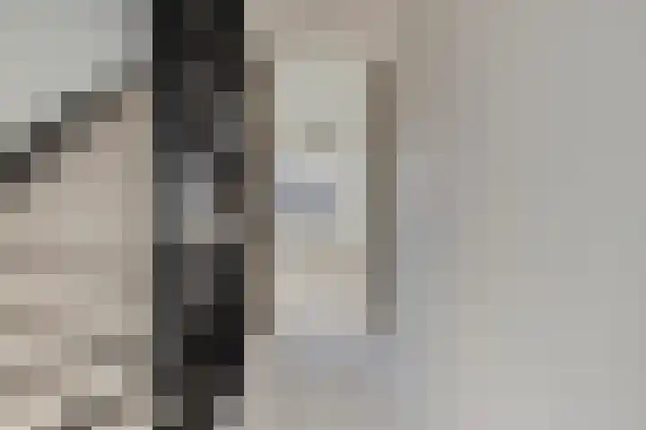 Paardebloemstraat 6 Heinkenszand thumbnail 36