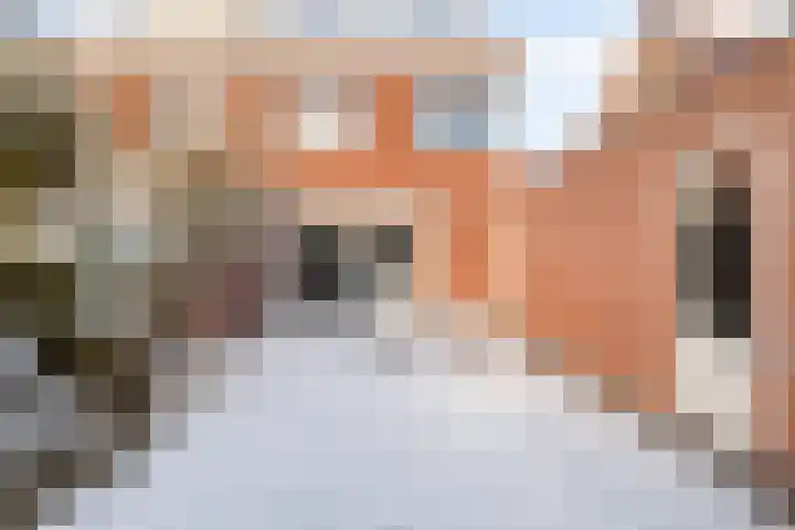 Paardebloemstraat 6 Heinkenszand thumbnail 4