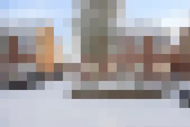 Paardebloemstraat 6 Heinkenszand thumbnail 5