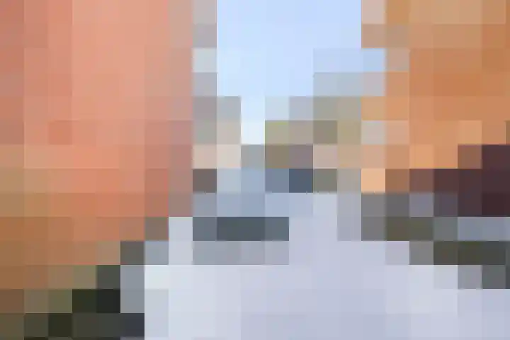 Paardebloemstraat 6 Heinkenszand thumbnail 51