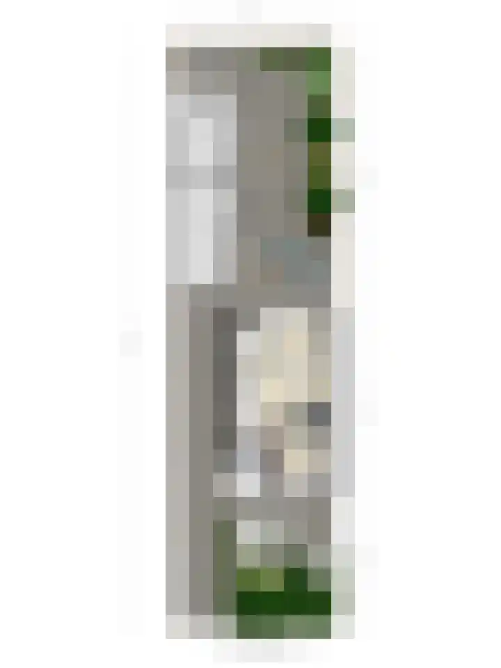 Paardebloemstraat 6 Heinkenszand thumbnail 56
