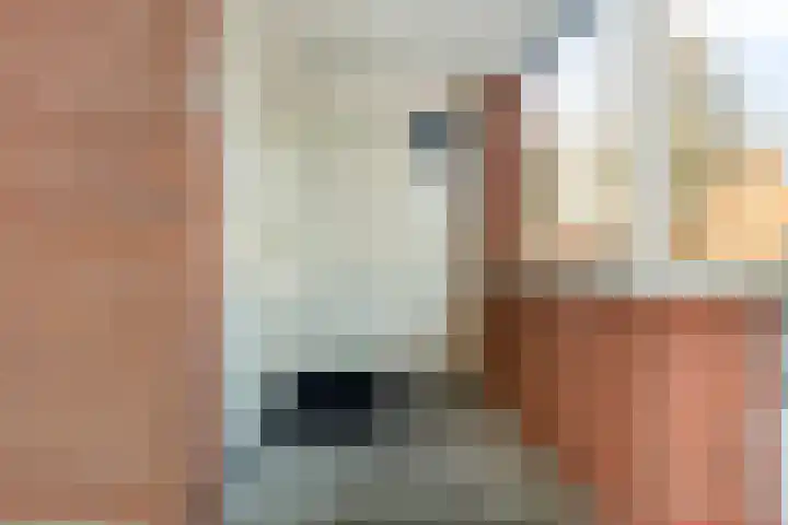Paardebloemstraat 6 Heinkenszand thumbnail 6