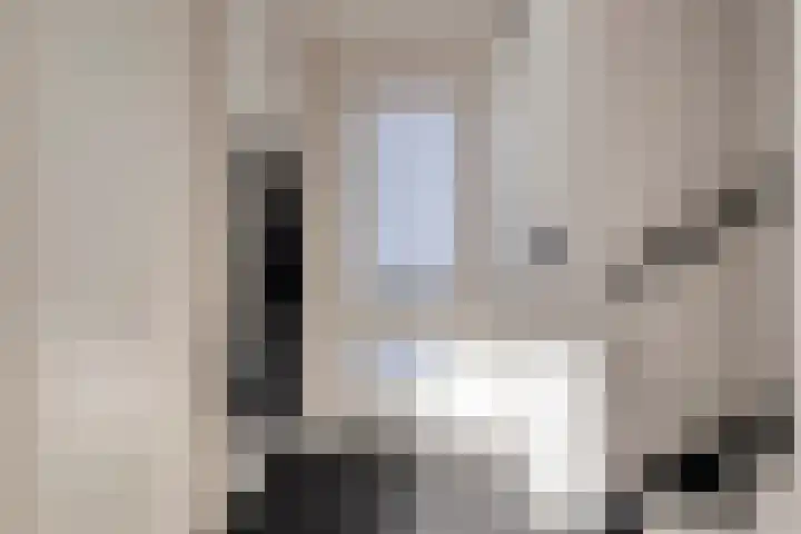 Paardebloemstraat 6 Heinkenszand thumbnail 7
