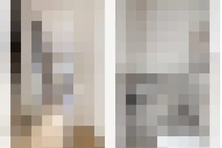 Paardebloemstraat 6 Heinkenszand thumbnail 8