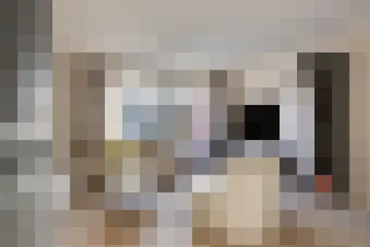 Paardebloemstraat 6 Heinkenszand thumbnail 9