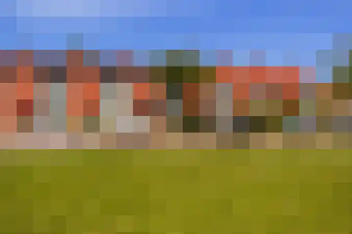 Paardebloemstraat 78 Arnhem thumbnail 30
