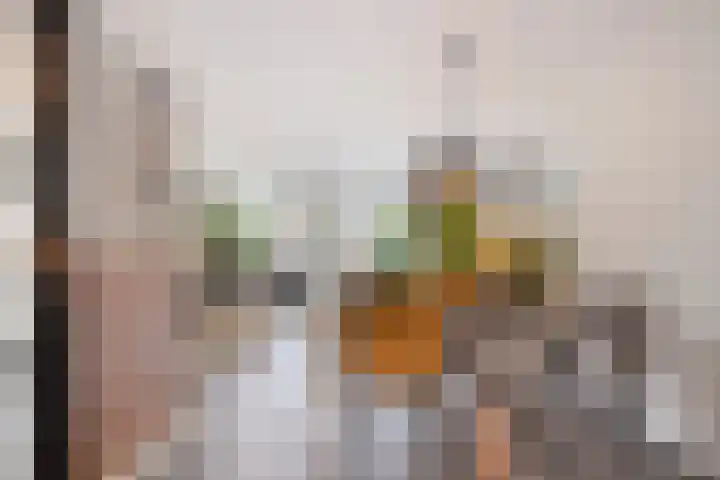 Paardebloemweg 2 Zoeterwoude thumbnail 14