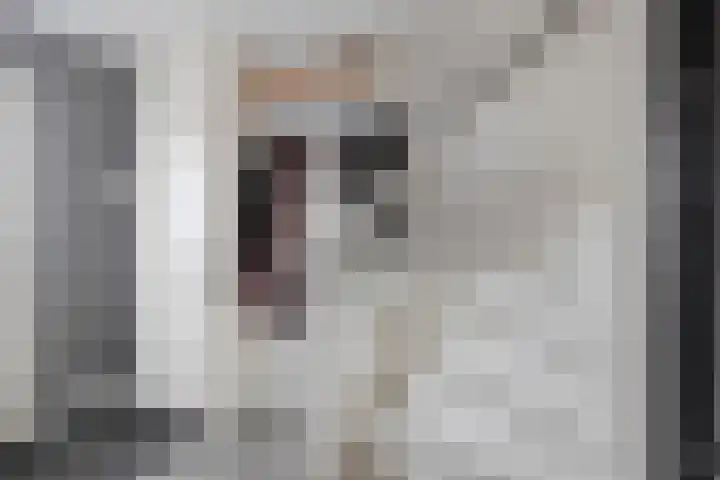 Paardebloemweg 2 Zoeterwoude thumbnail 15