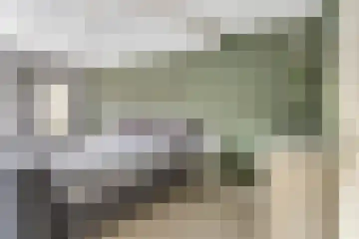 Paardebloemweg 2 Zoeterwoude thumbnail 16