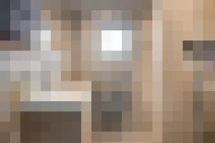 Paardebloemweg 2 Zoeterwoude thumbnail 20