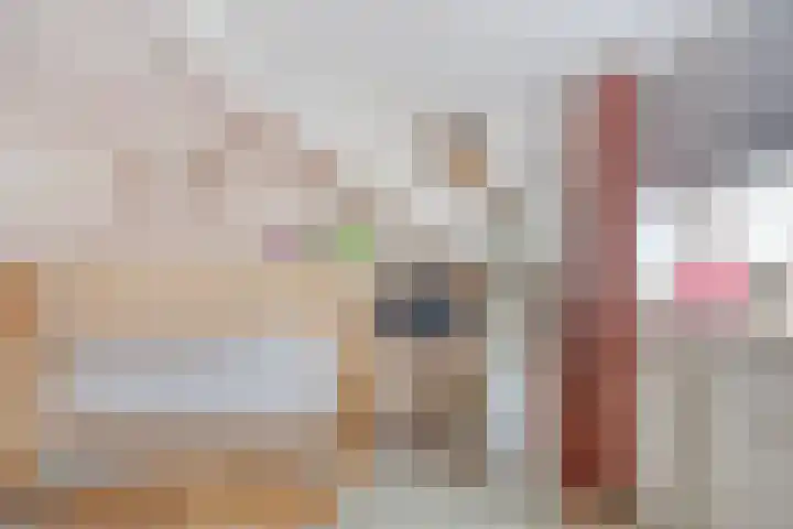 Paardebloemweg 2 Zoeterwoude thumbnail 23