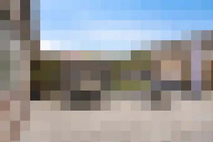 Paardebloemweg 2 Zoeterwoude thumbnail 25
