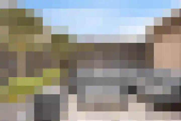 Paardebloemweg 2 Zoeterwoude thumbnail 26